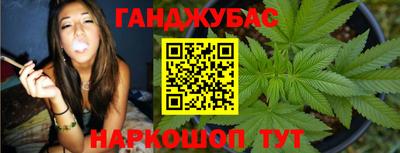 эйфоретик Гай