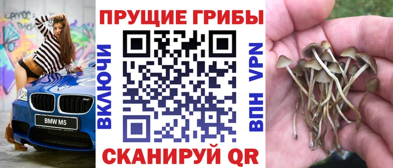 Галлюциногенные грибы прущие грибы Сердобск
