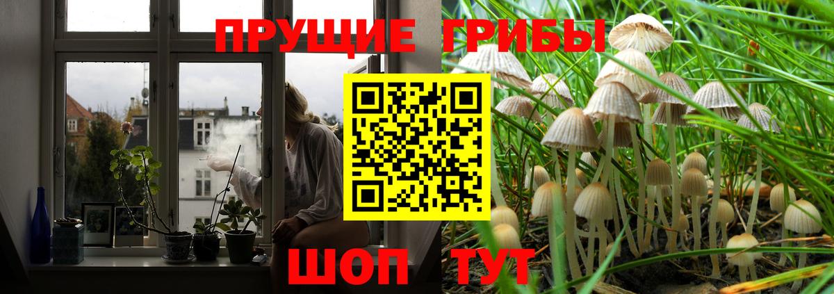 Псилоцибиновые грибы MAGIC MUSHROOMS Сердобск